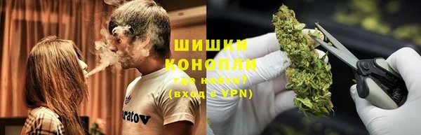 крисы Арсеньев