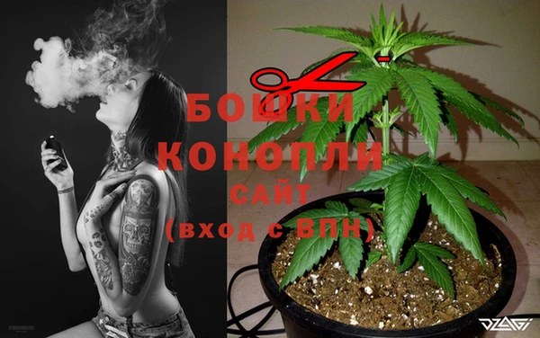 крисы Арсеньев