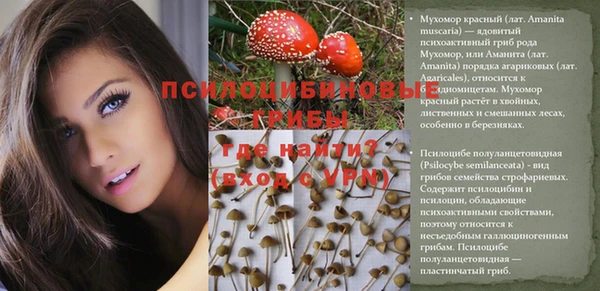 крисы Арсеньев