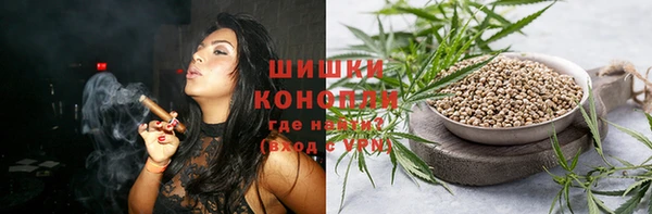 крисы Арсеньев