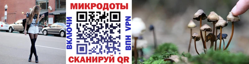 Купить  Тихвин  Галлюциногенные грибы Psilocybine cubensis 